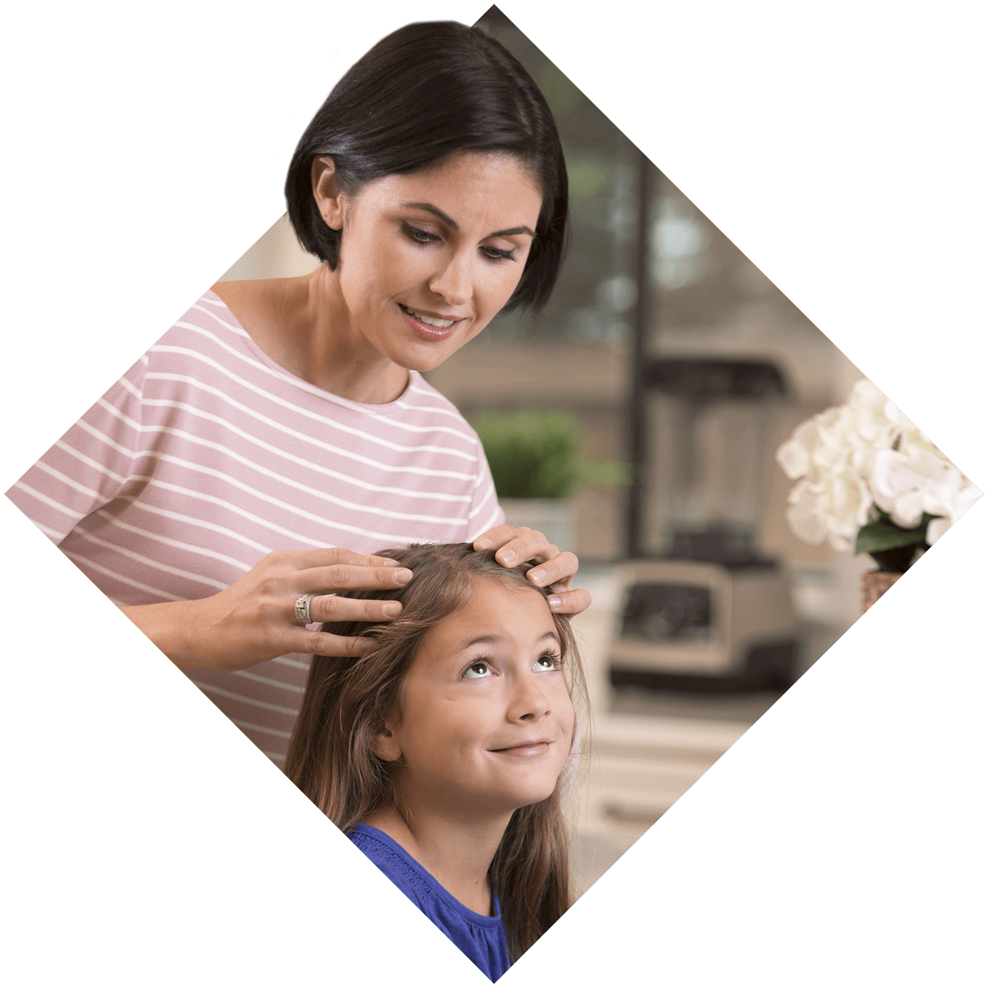 Lice Treatment